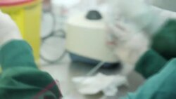 Covid testing lab News Clip