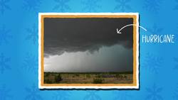 Blizzard Facts Instructional Video