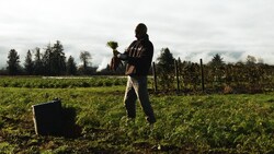 Winter Farming: Challenges and Rewards Instructional Video