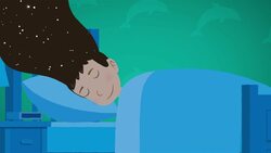 I WONDER - Can Dolphins Dream? Instructional Video