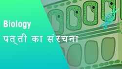 पत्ती का संरचना | पौधे | जीवविज्ञान | FuseSchool Hindi Instructional Video