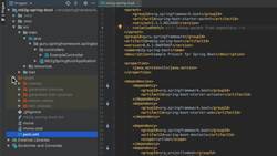 Apache Maven Beginner to Guru - Running Spring Boot from Maven Instructional Video