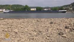 Fires and drought cause chaos across Europe News Clip