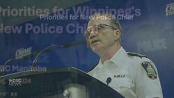 New poll suggests downtown safety, petty crime top of mind for Winnipeggers News Clip