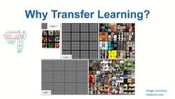Data Science and Machine Learning (Theory and Projects) A to Z - Transfer Learning: Why Transfer Learning Instructional Video