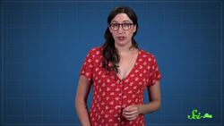 Do Bacterial Cells Store Memories? Instructional Video