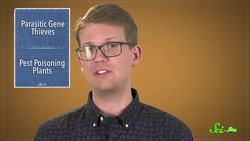 This Parasitic Plant Stole Over 100 Genes From Other Plants | SciShow News Instructional Video