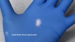 Carfentanil: A drug more deadly than heroin News Clip