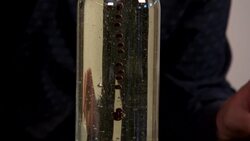 DIY SCI - HOMEMADE LAVA LAMP Instructional Video