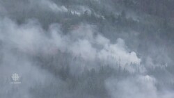 Whistler protecting itself from future wildfires News Clip