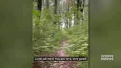 The Last Stand of Moses: A video chronicle of Ukraine’s frontline News Clip