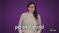 Why These Weird Carnivores Smell Like Popcorn Instructional Video