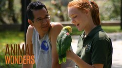 Animal Wonders a History Instructional Video