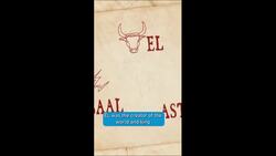 Deities of Ancient Carthage: El, Astarte and Baal Instructional Video