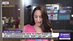 Disney Self-Government In Peril After Florida House Vote News Clip