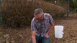 Your garden’s carbon footprint isn’t as small as you may think News Clip