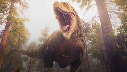 Why Is It So Hard to Tell the Sex of a Dinosaur? Instructional Video