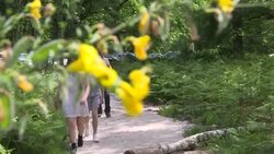 CLEAN : Ile-de-France residents rediscover their region during long weekend post-lockdown News Clip