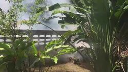 Fumigate mosquito killing to prevent disease Stock Footage