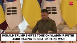 Trump Makes World Suffer But Keeps Putin Away From US Tariffs Hitlist: Here's Why Russia Was Skipped News Clip