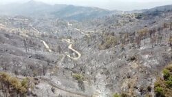 CLEAN : AERIAL SHOTS of the aftermath of Cyprus' worst forest fire in decades News Clip