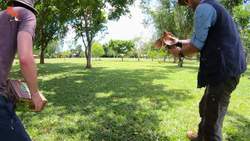 Catching a Frilled Dragon! Instructional Video