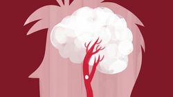 TED-Ed: How does alcohol make you drunk? Instructional Video