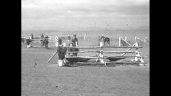 US Army cavalry team training in San Diego for Summer Olympics News Clip