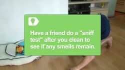 How to Sell a House with Pets at Home Instructional Video