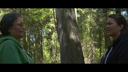 Turbidity: our connection to nature Instructional Video