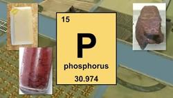 The Everglades Ecosystem: Hamilton Disstons plan and the affects of a canal Instructional Video