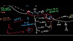 Biosynthesis of Phosphatidate from DHAP and Glycerol Instructional Video