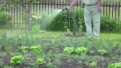 Watering vegetable garden in slow motion 250fps Stock Footage