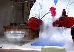 Liquid Nitrogen Demos Instructional Video