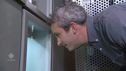 Appetite for analog grows News Clip