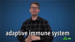 Bivalves Could Be the New Lab Rats Instructional Video