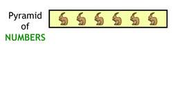 Ecological Pyramids Instructional Video