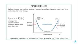 Python for Deep Learning - Build Neural Networks in Python - What is Gradient Descent? Instructional Video