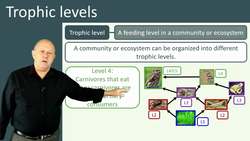 Understanding Trophic Levels in an Ecosystem Instructional Video