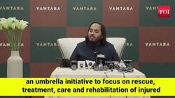 Anant Ambani's love for animals: Reliance Foundation launches 'Vantara' programme for rescue and rehabilitation News Clip
