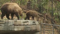 Nursery Keepers are Takin' Care of a Baby Takin Instructional Video