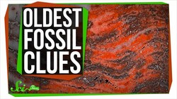 More Clues to the Oldest Fossils Ever Instructional Video