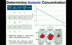 Determine the Isotonic Concentration for a Cell in Solution Instructional Video