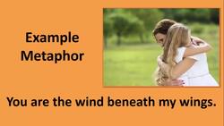 Descriptive Writing Instructional Video