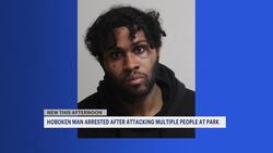 Police: Hoboken man punched woman unconscious, assaulted parkgoers News Clip