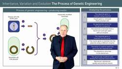 Genetic Engineering: Insulin Production Process Instructional Video