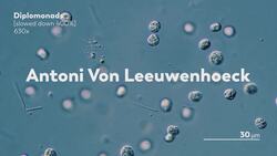 Is the Mitochondria Always the Powerhouse of the Cell? Instructional Video