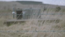 Apocalypse, how? A survival guide to the end of the world Instructional Video