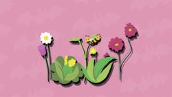 I WONDER - Why Are Bats Important? Instructional Video