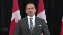 Premiers discuss Canadian response to threat of U.S. tariffs ahead of meeting with PM News Clip